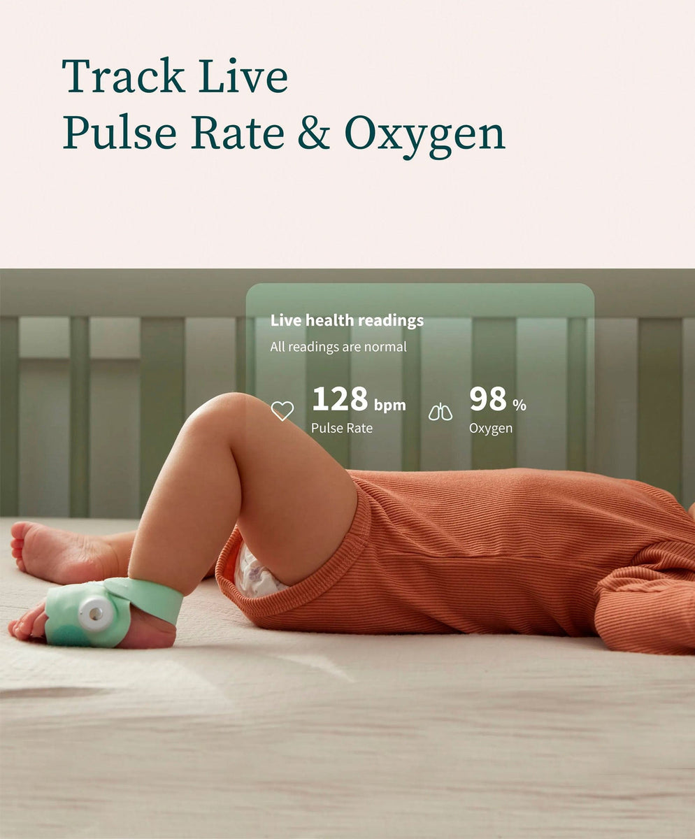 Owlet Monitor Owl Baby Heart Monitor Heart Rate The Owl Baby