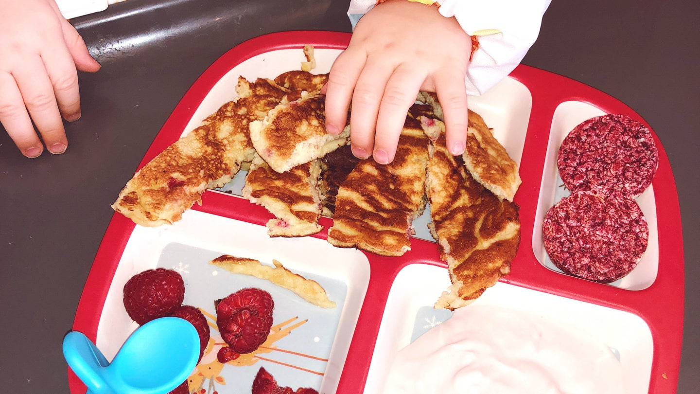 Hollie Evelyn's Pancakes for Weaning Babies