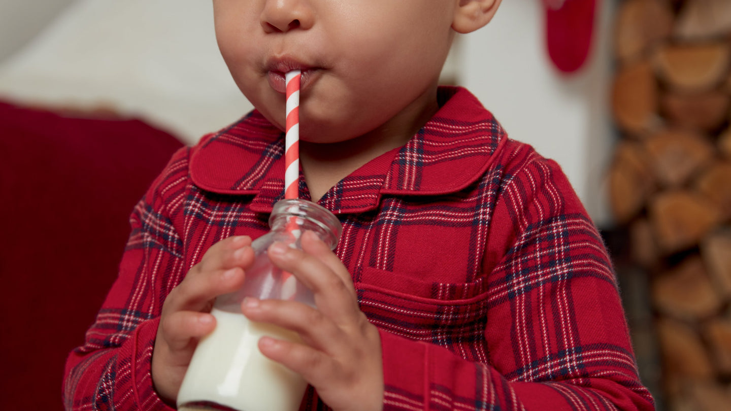 Christmas Dinner Feeding Essentials for Baby