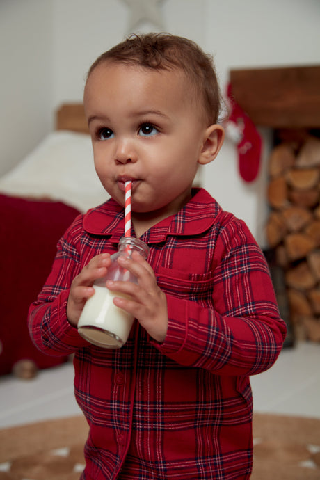 Christmas Dinner Feeding Essentials for Baby