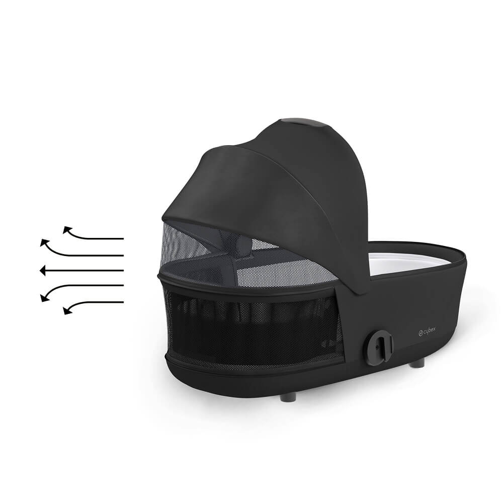 Panorama Mesh Windows