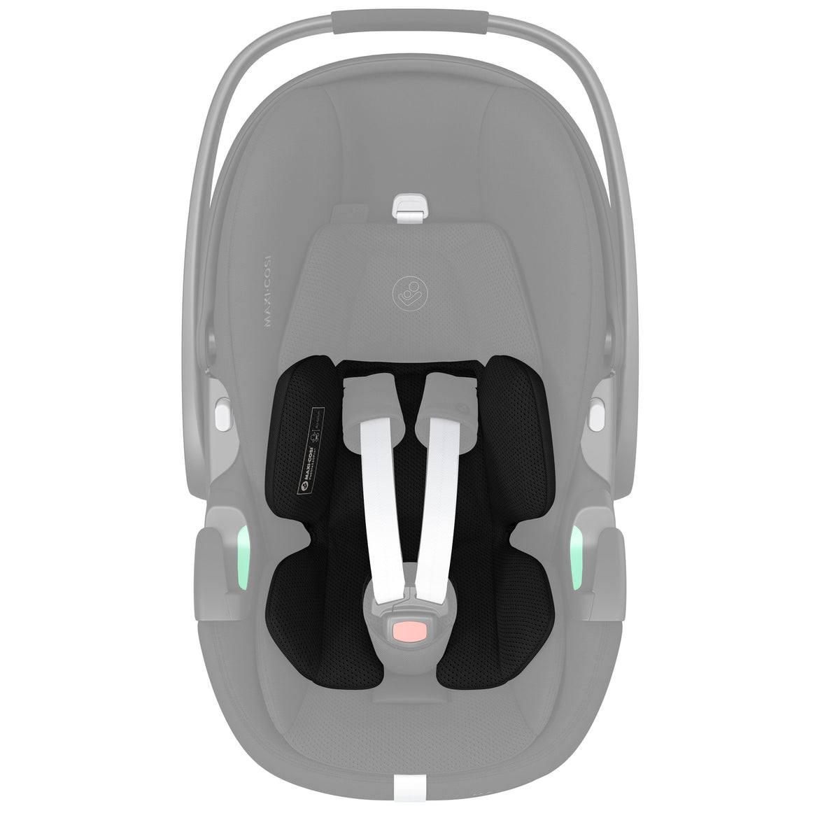 Newborn Inlay: Birth to 18 Months