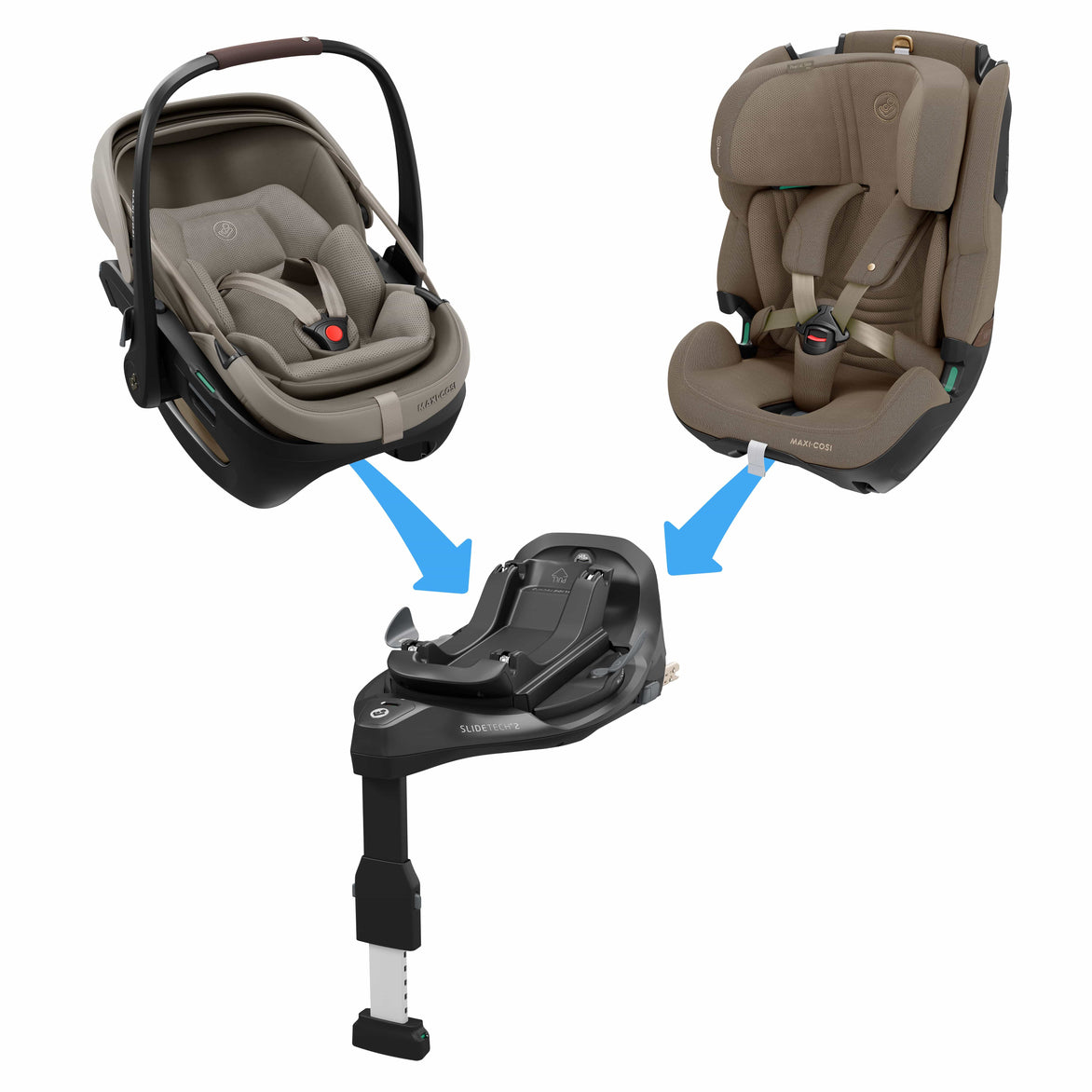 Safe Travel Birth to 4 Years