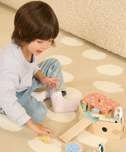 Classic World Classic World Noahs Ark Toy