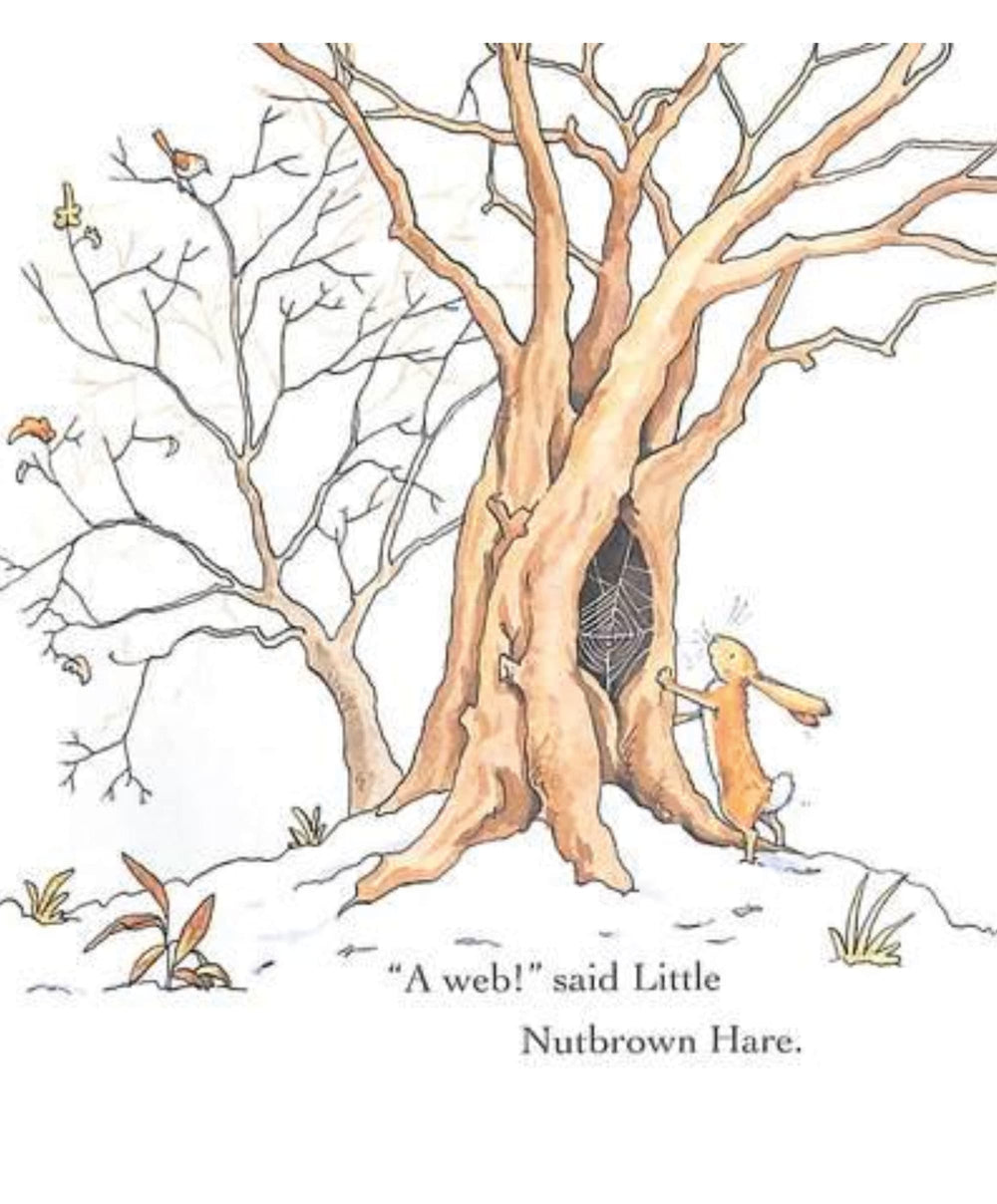 House of Marbles Books Guess How Much I Love You In The Winter Book