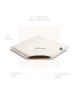 Little Green Sheep Moses Baskets Little Green Sheep Organic Knitted Moses Basket & Mattress - Truffle