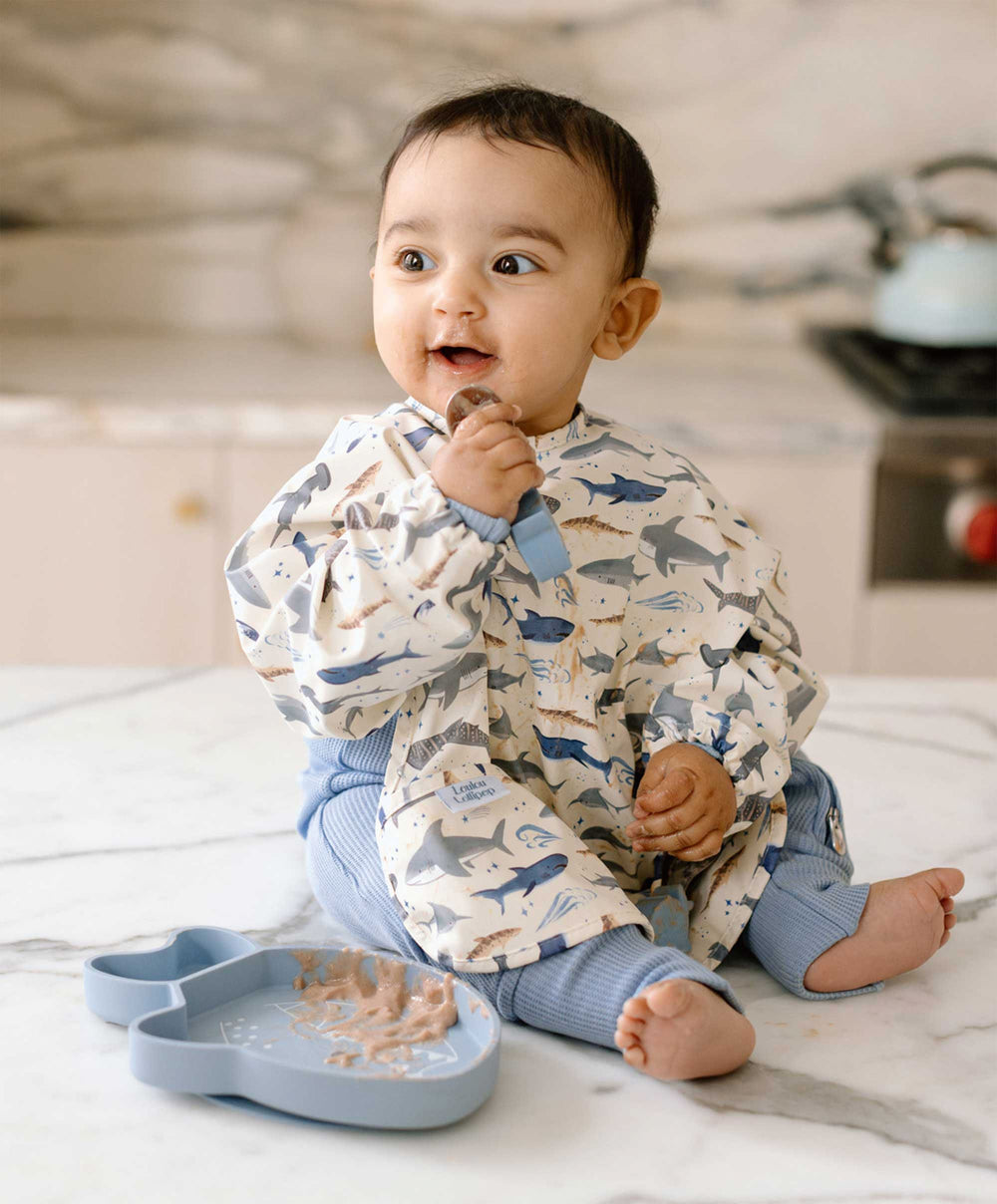 Loulou Lollipop Baby Weaning Loulou Lollipop Snack Plate - Sarah Shark