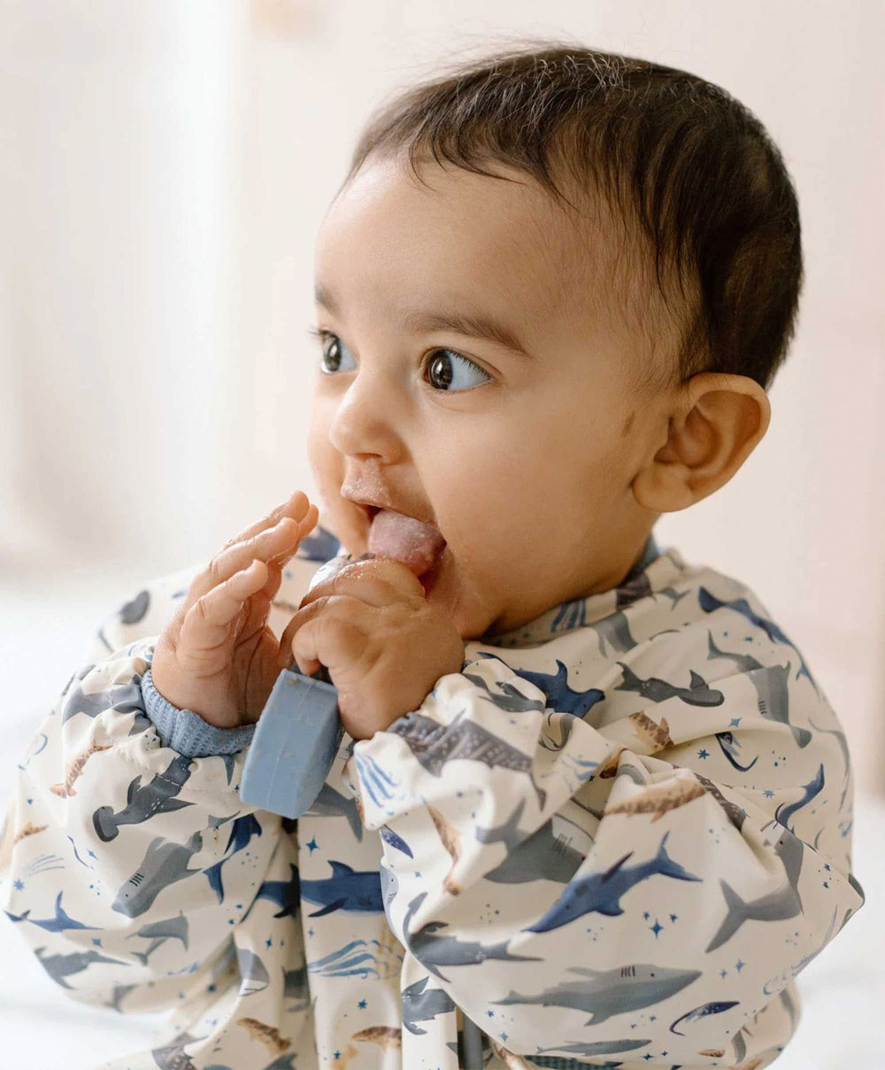 Loulou Lollipop Cutlery Loulou Lollipop Learning Utensils - Sarah Shark