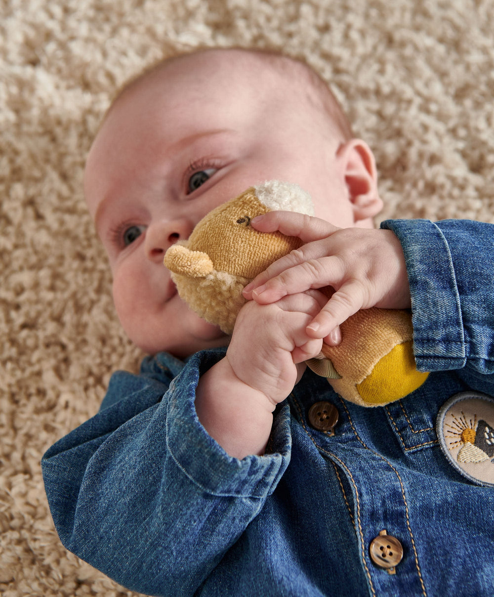 Mamas &amp; Papas Activity Toys Mini Rattle - Lenny Lion