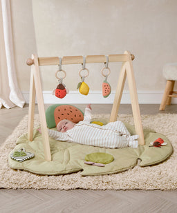 Mamas & Papas Activity Toys Wooden Play Arches - Safari