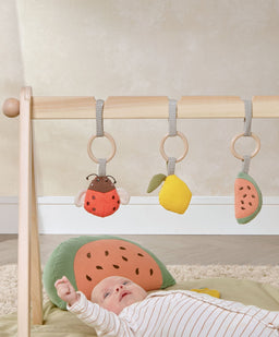 Mamas & Papas Activity Toys Wooden Play Arches - Safari