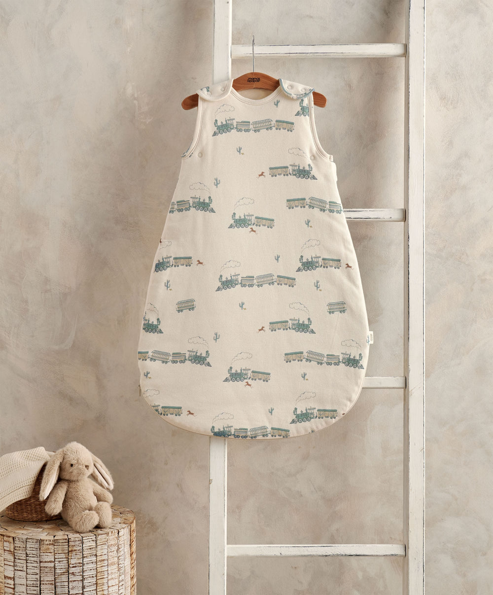 Mamas &amp; Papas Dreampod Sleep Bags &amp; Swaddling Train - Dreampod 0-6m 2.5 Tog