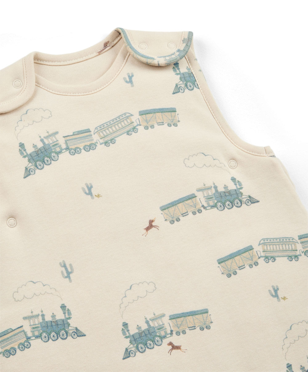 Mamas &amp; Papas Dreampod Sleep Bags &amp; Swaddling Train - Dreampod 0-6m 2.5 Tog