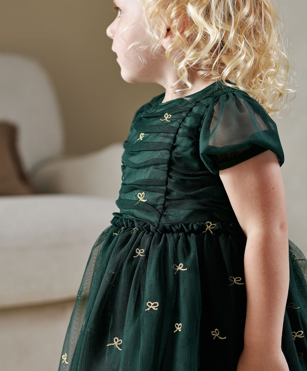 Mamas &amp; Papas Dresses &amp; Skirts Green Bow Mesh Embroidery Dress