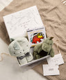 Mamas & Papas Gift Boxes Giftbox - Bathtime Dino Med