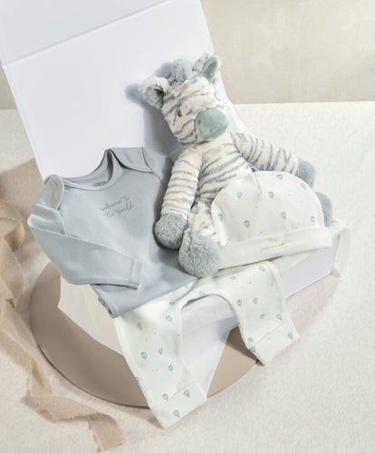 Mamas & Papas Gift Boxes Zebra Giftbox - Medium