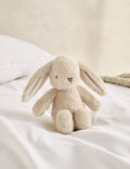 Soft Toy - Millie Bunny