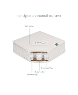 Mamas & Papas The Little Green Sheep Natural Sprung Cot Bed Mattress
