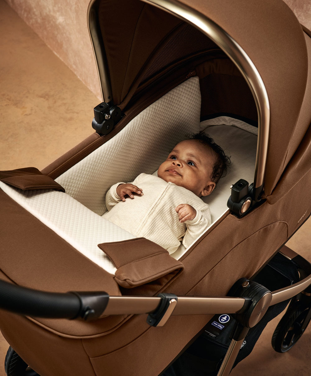 Mamas &amp; Papas Vardo Carrycot - Nutmeg