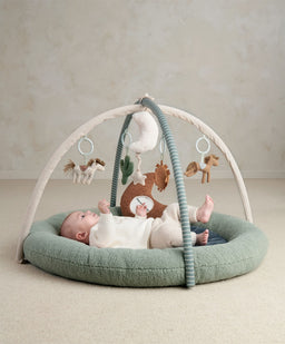 Mamas & Papas Welcome to the World Playmat - Pony Express