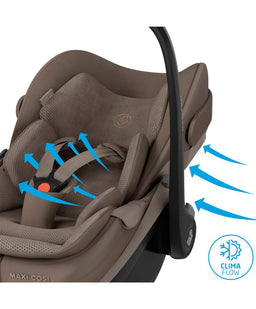 Maxi Cosi Maxi-Cosi Pebble Slide Pro Car Seat - Oak Truffle