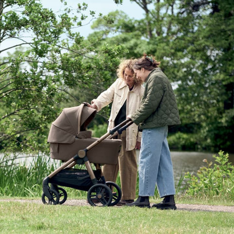 Two people pushing a stroller in a park with trees and grass in the background