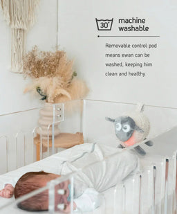 Sweet Dreamers Ewan the Dream Sheep Deluxe - Grey