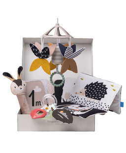 Taf Toys Gift Boxes Taf Toys Black & White Newborn Kit