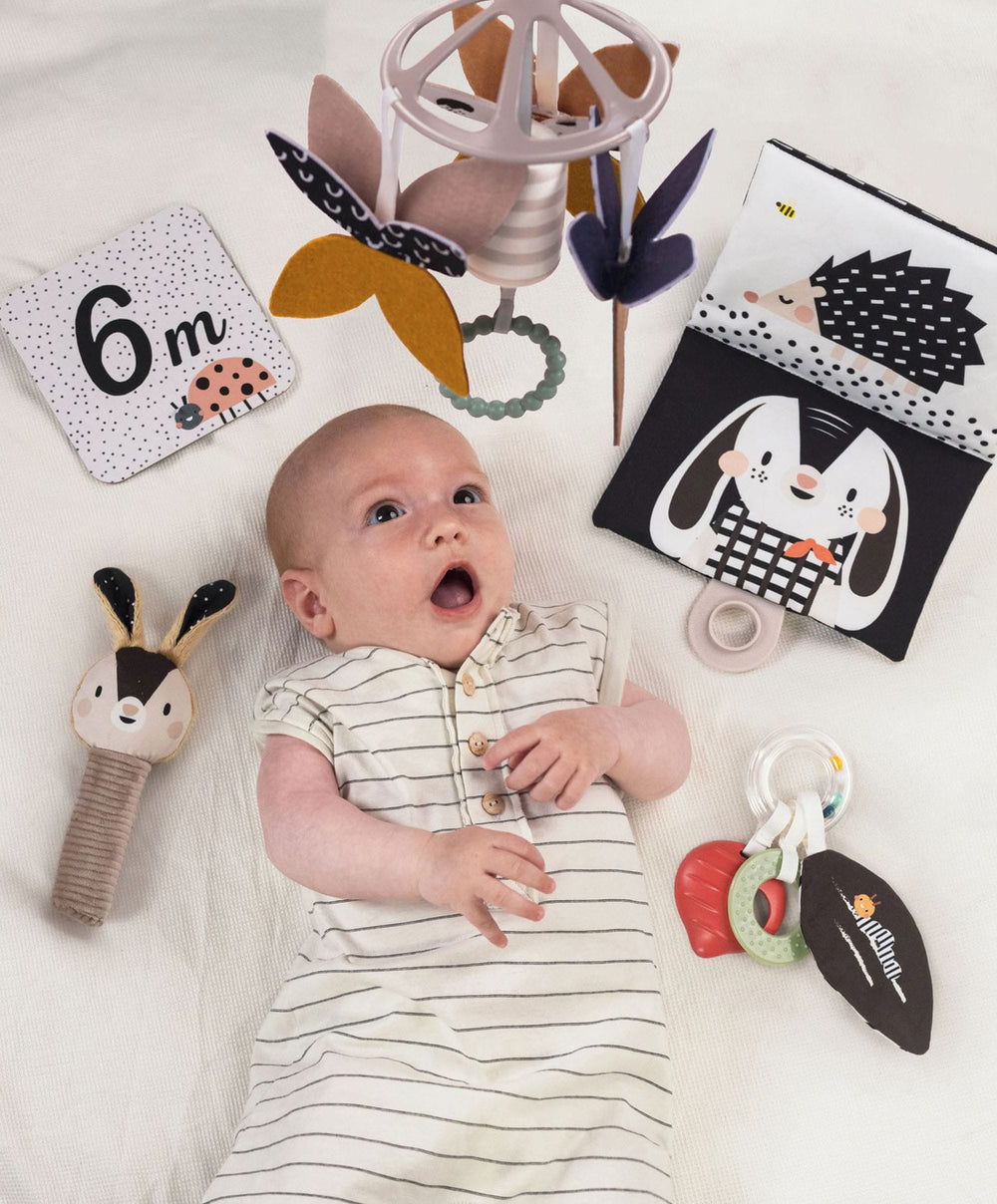 Taf Toys Gift Boxes Taf Toys Black &amp; White Newborn Kit