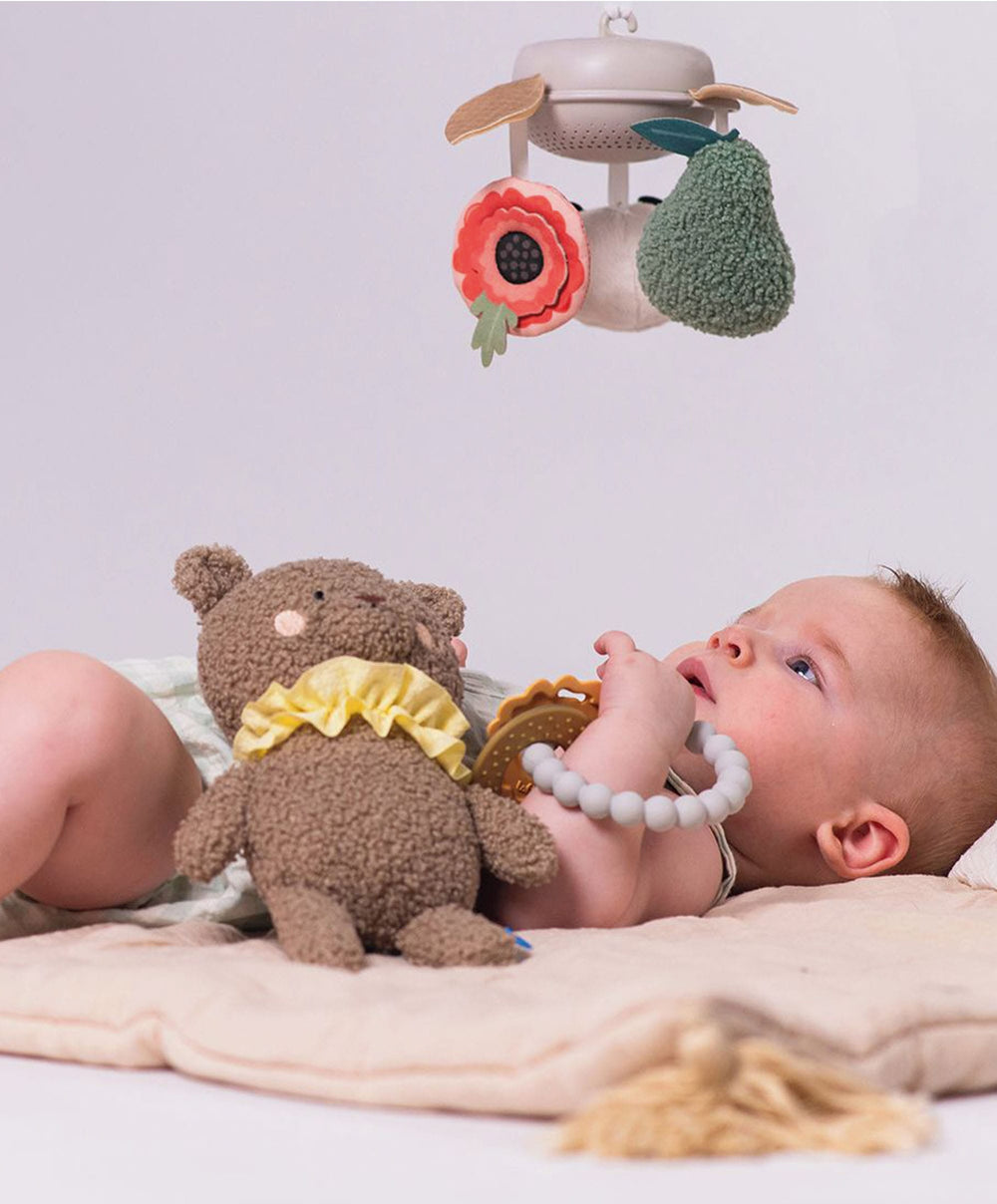 Taf Toys Gift Boxes Taf Toys Luxury Newborn Gift set