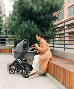 Uppababy Pushchairs UPPAbaby Vista V3 Stroller – Greyson