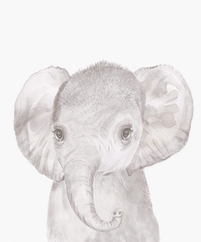 Mamas & Papas Wall Art & Wallpaper Welcome to the World Wall Art - Elephant